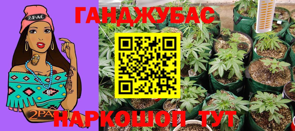 Асино  Марихуана индика  Вход с VPN  Бошки Шишки планчик 